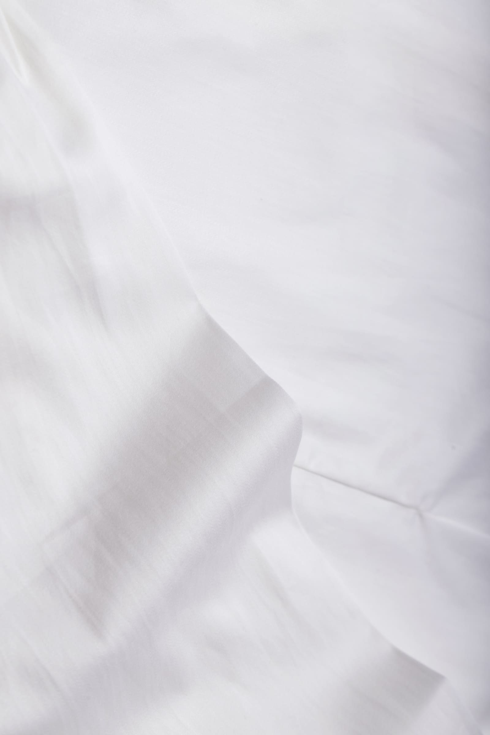 The Timeless Shirt