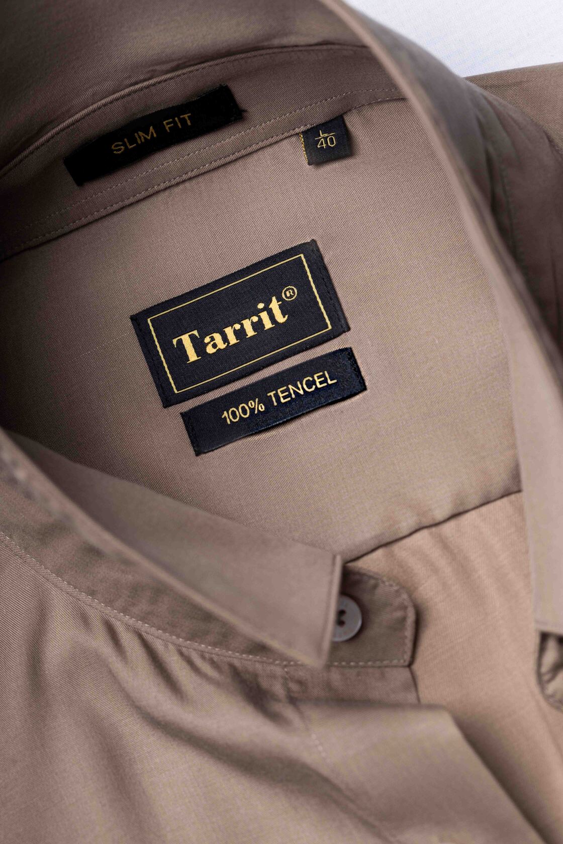 The Modernist Shirt