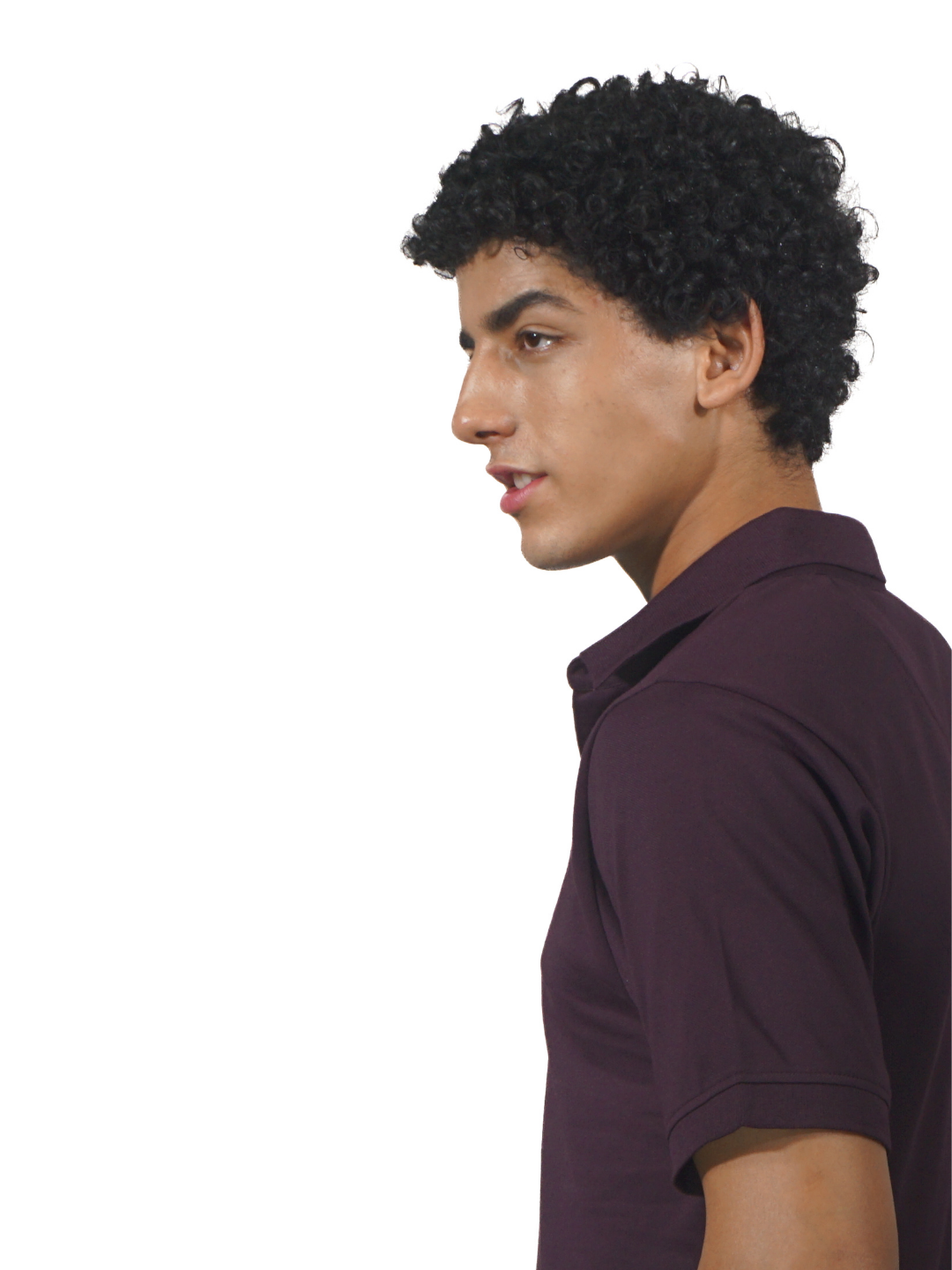 COTTON WINE KNIT POLO shirt for Men